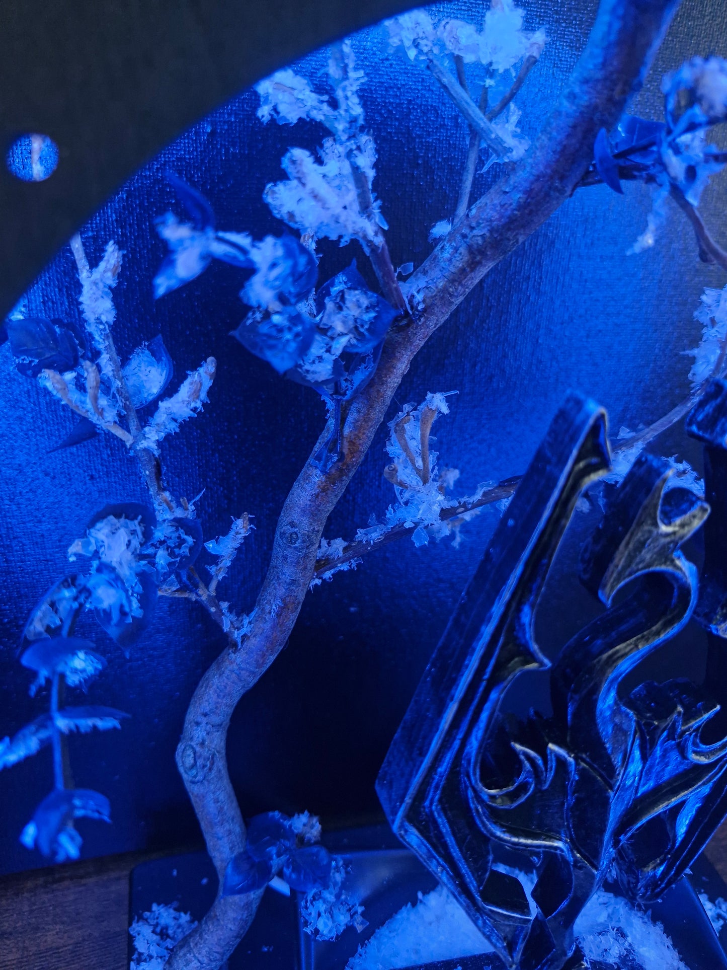 L'appel de Skyrim	-	LA00022