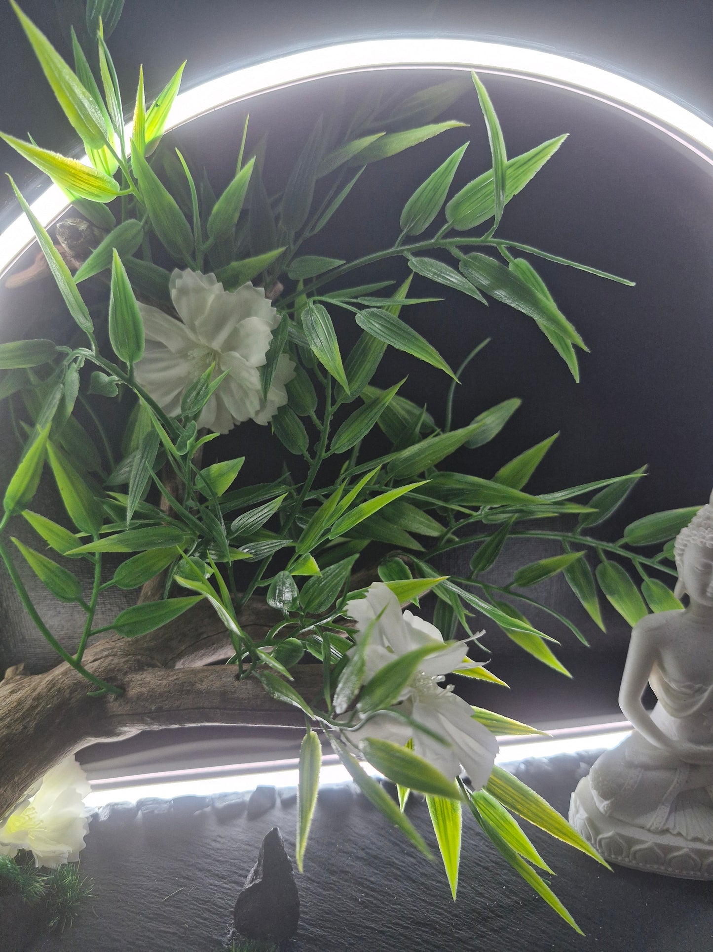 Equilibre intérieur	-	LA00023