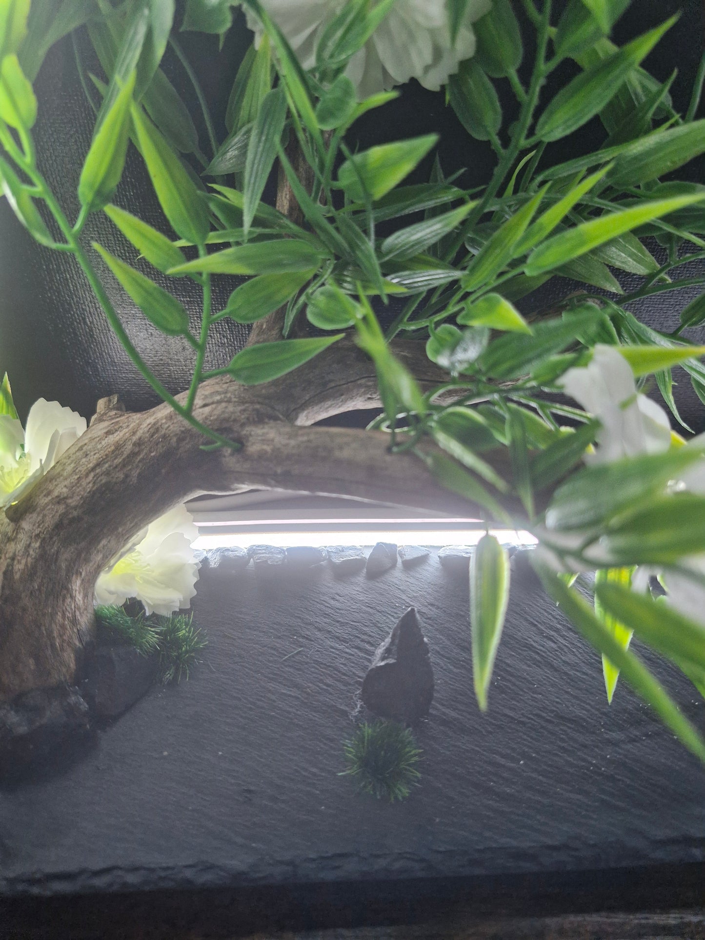 Equilibre intérieur	-	LA00023