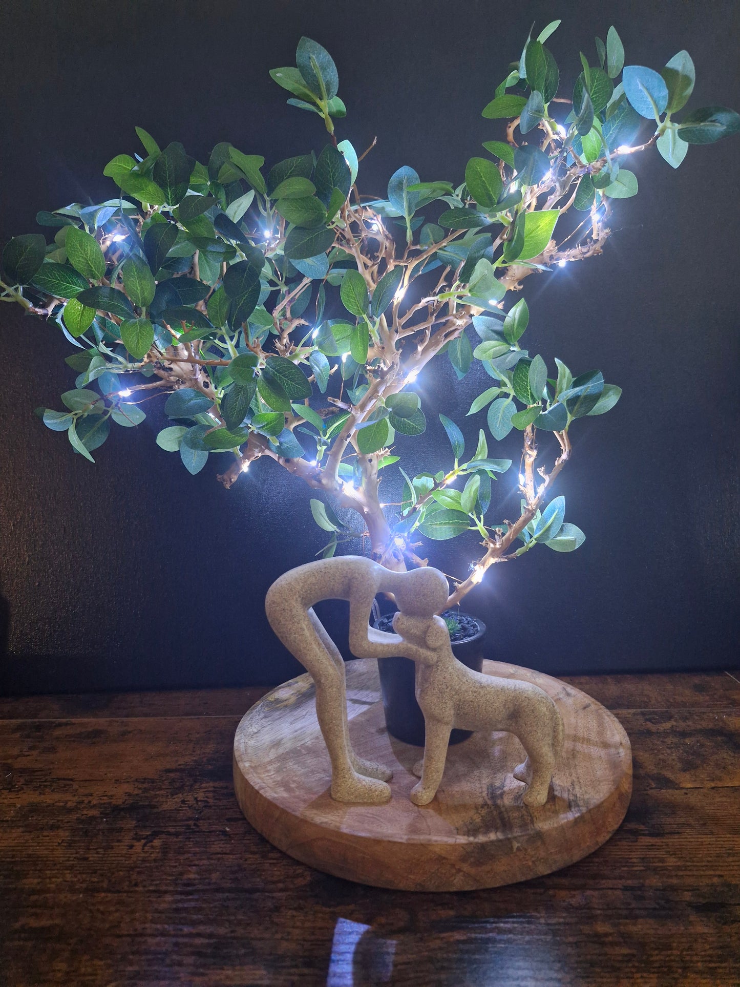 Complicité lumineuse	-	LA00024