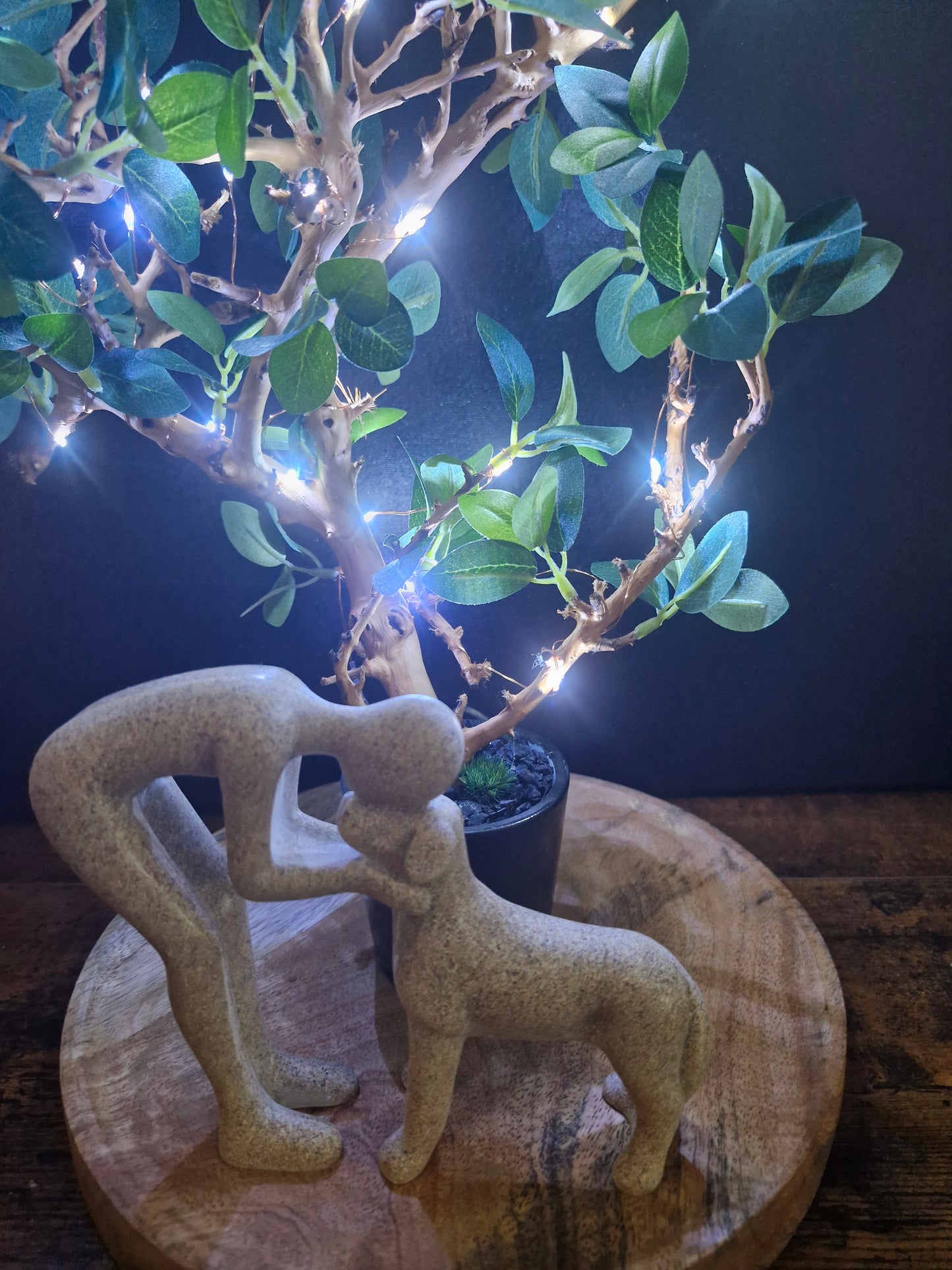 Complicité lumineuse	-	LA00024