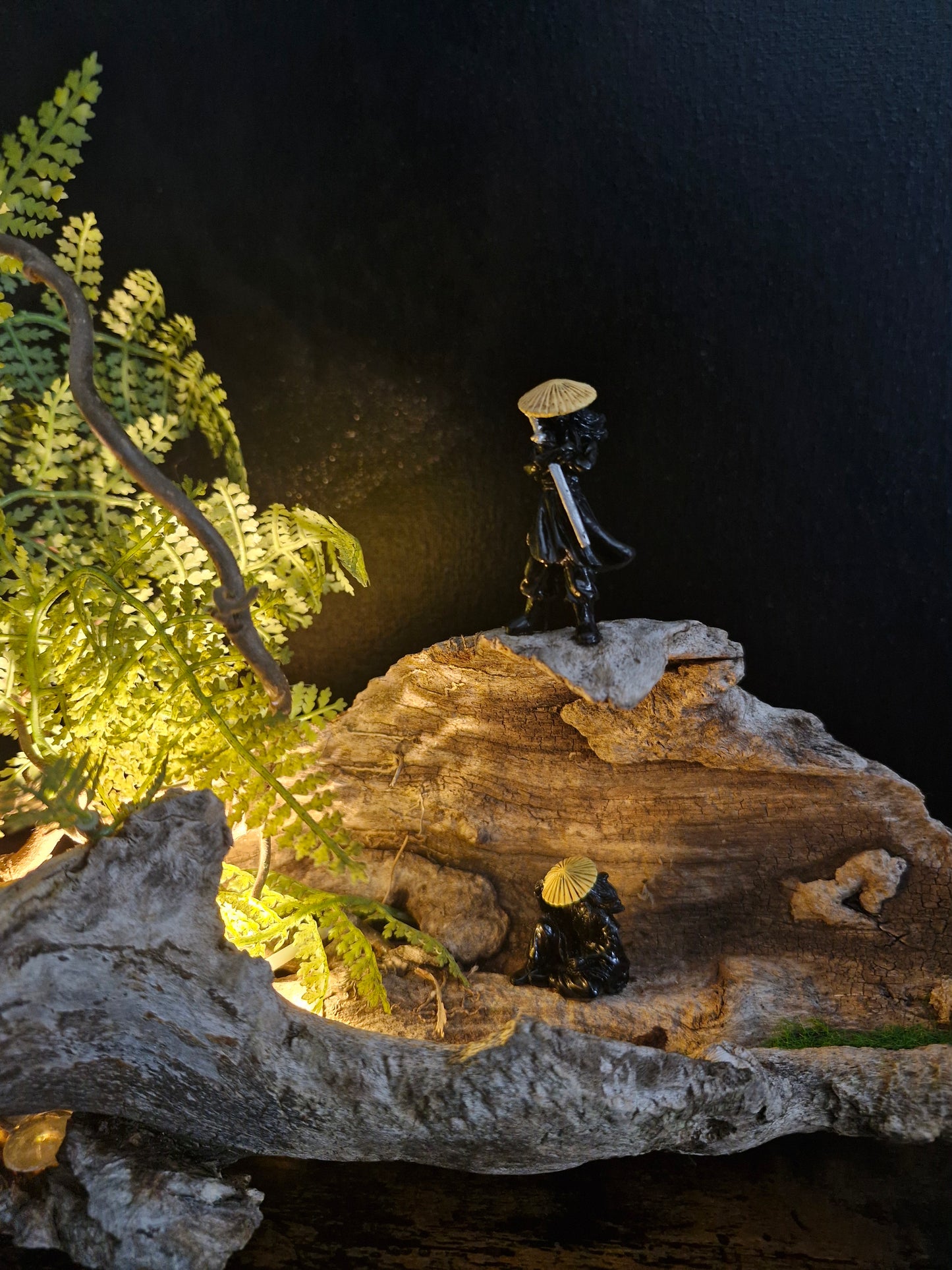 Les voyageurs du silence	-	LA00034