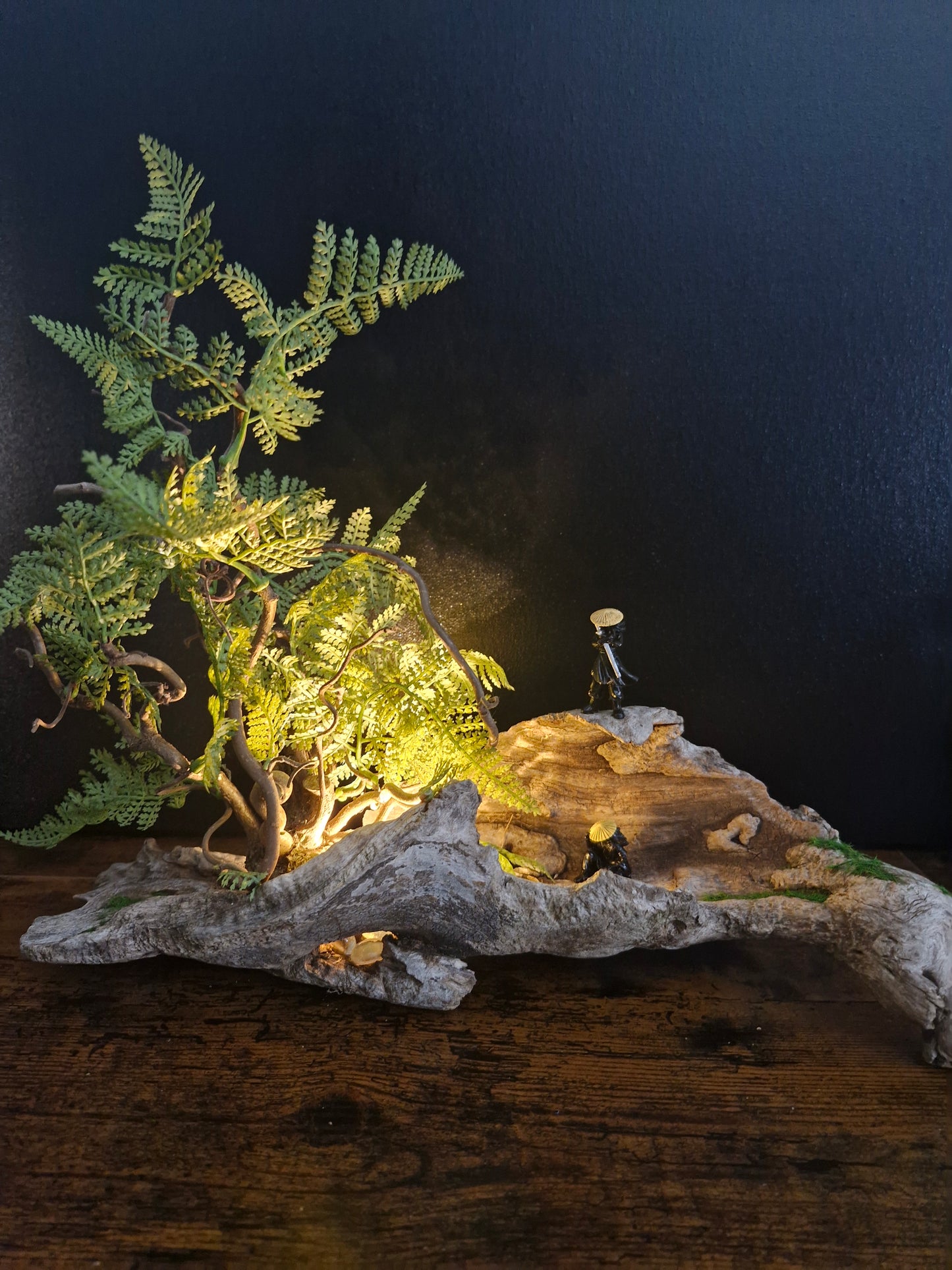 Les voyageurs du silence	-	LA00034