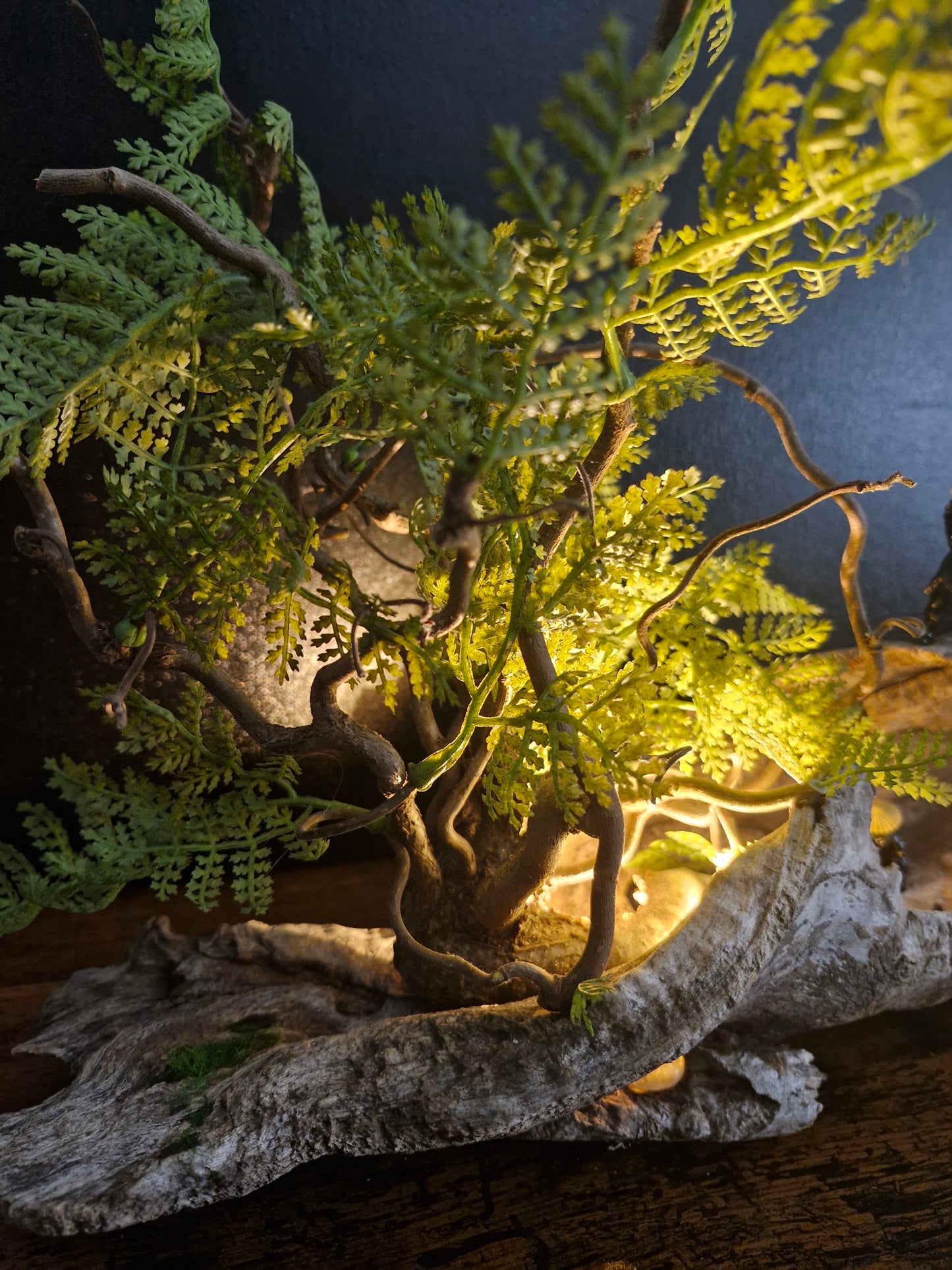 Les voyageurs du silence	-	LA00034