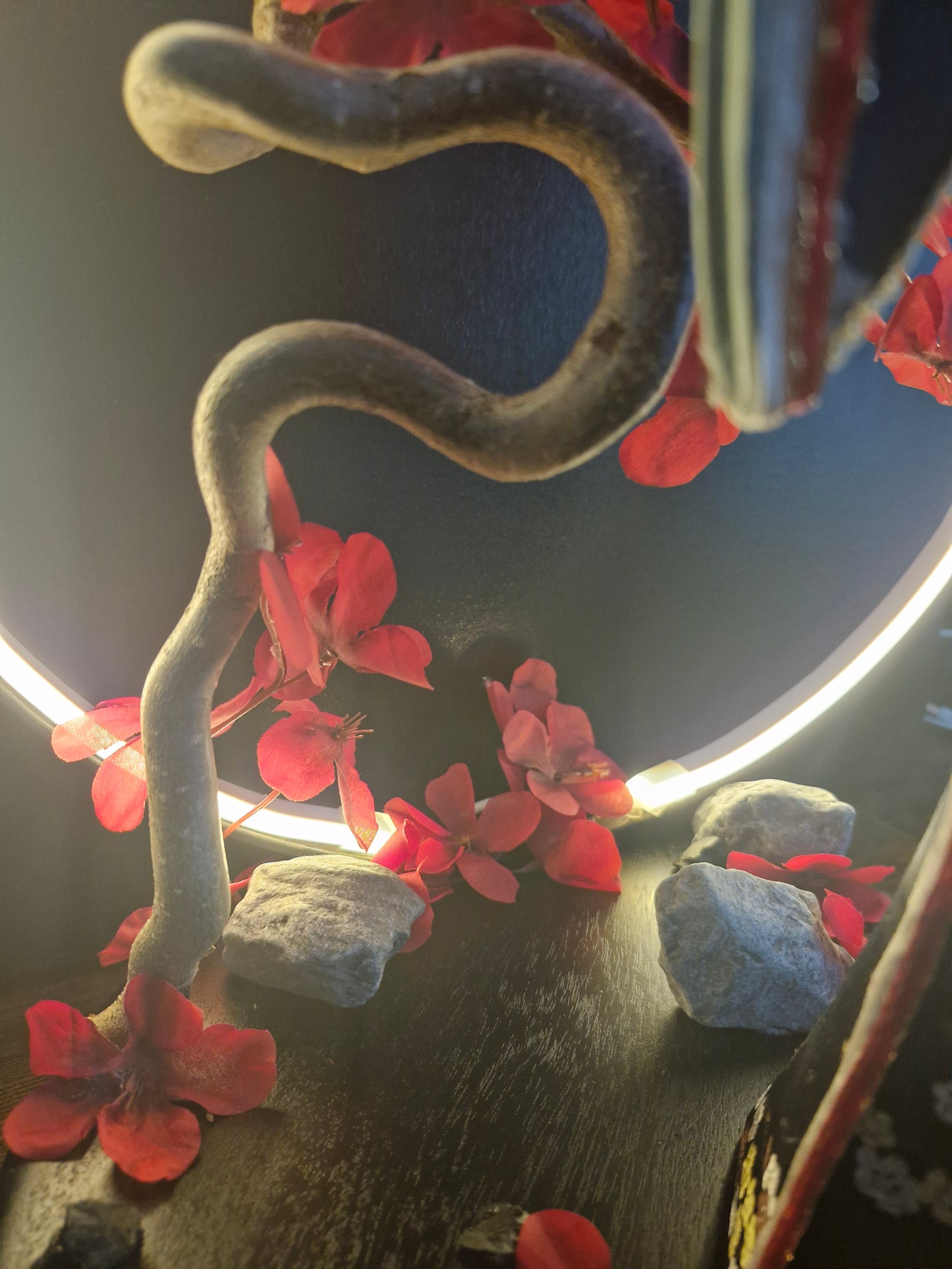 Danse sous les fleurs écarlates	-	LA00037