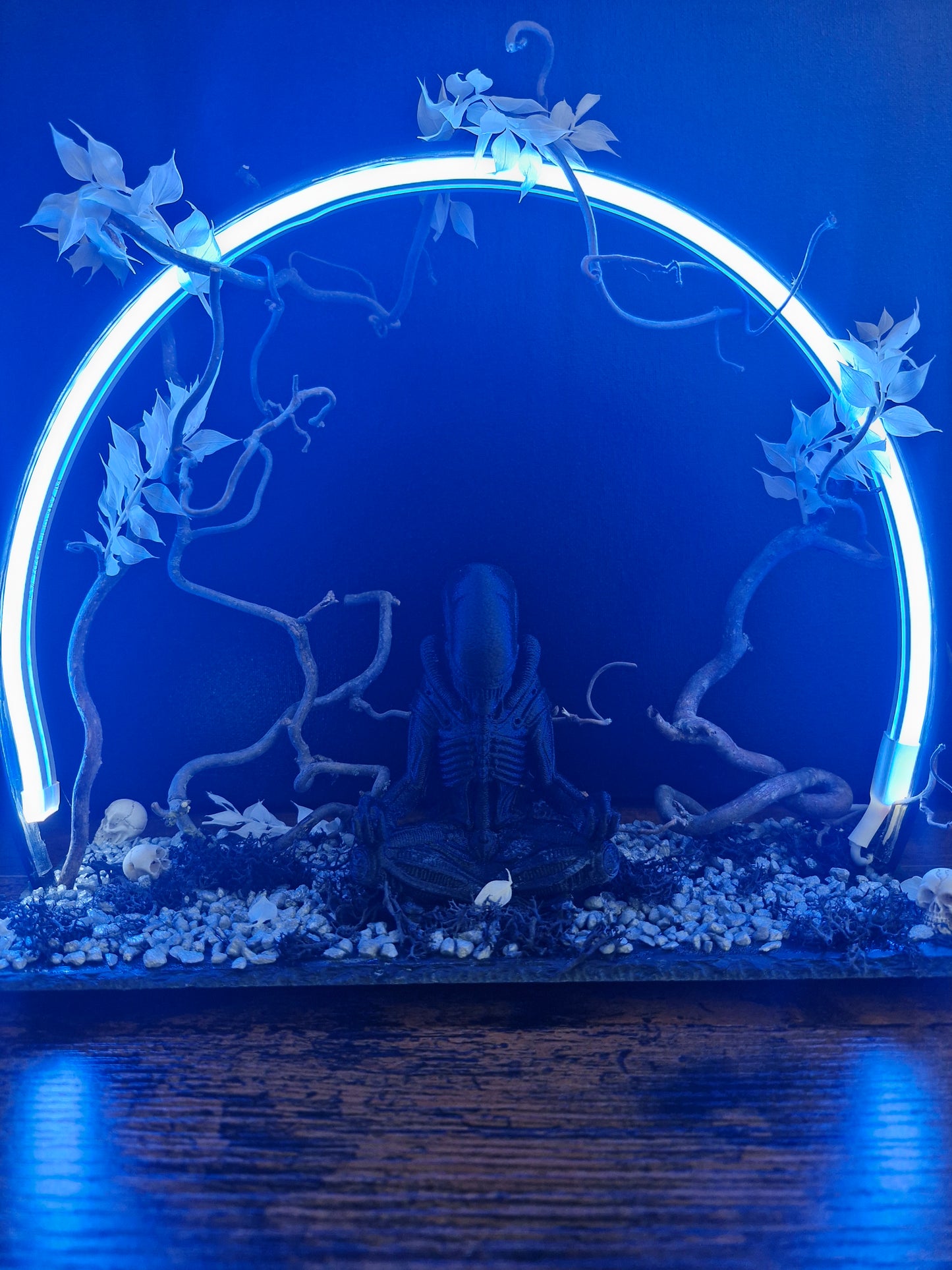 Silence du xénomorphe	-	LA00036