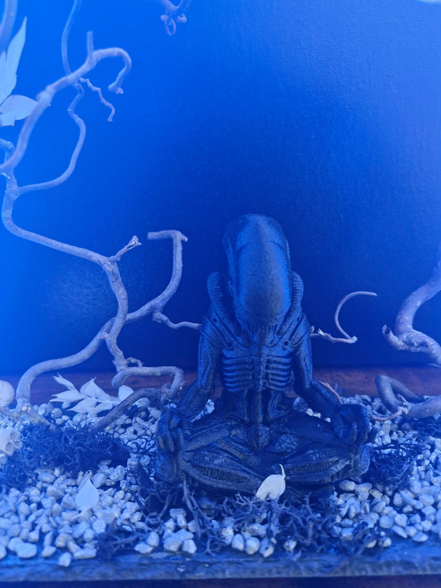 Silence du xénomorphe	-	LA00036