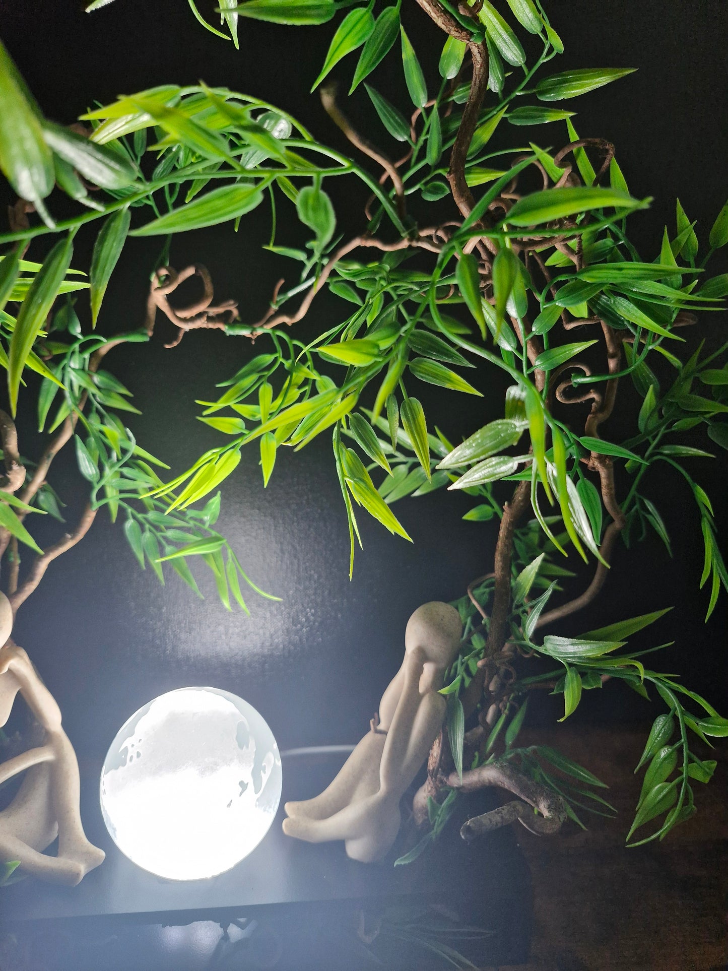 Les gardiens de la planète	-	LA00035