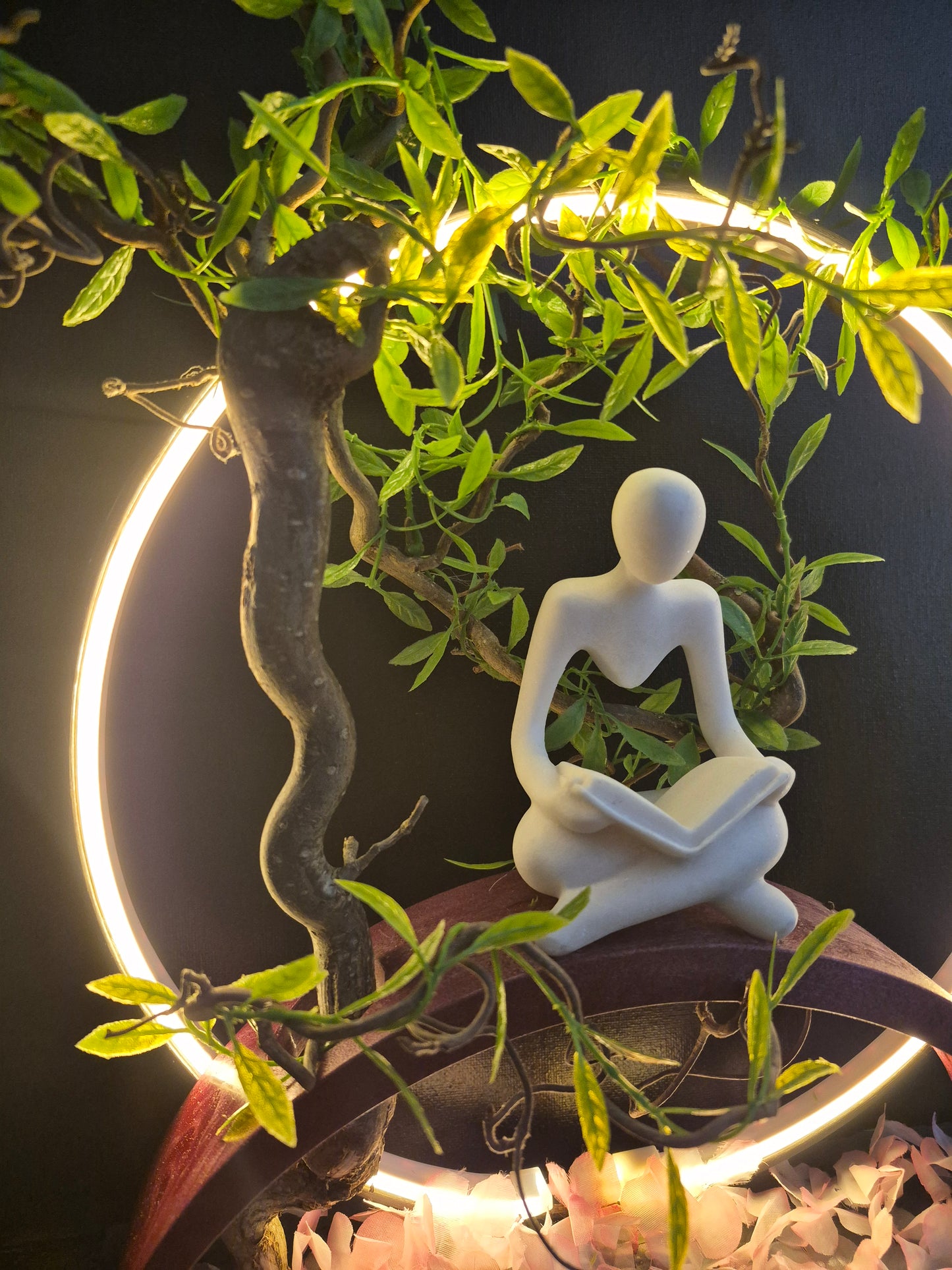 Halo de paix	-	LA00047