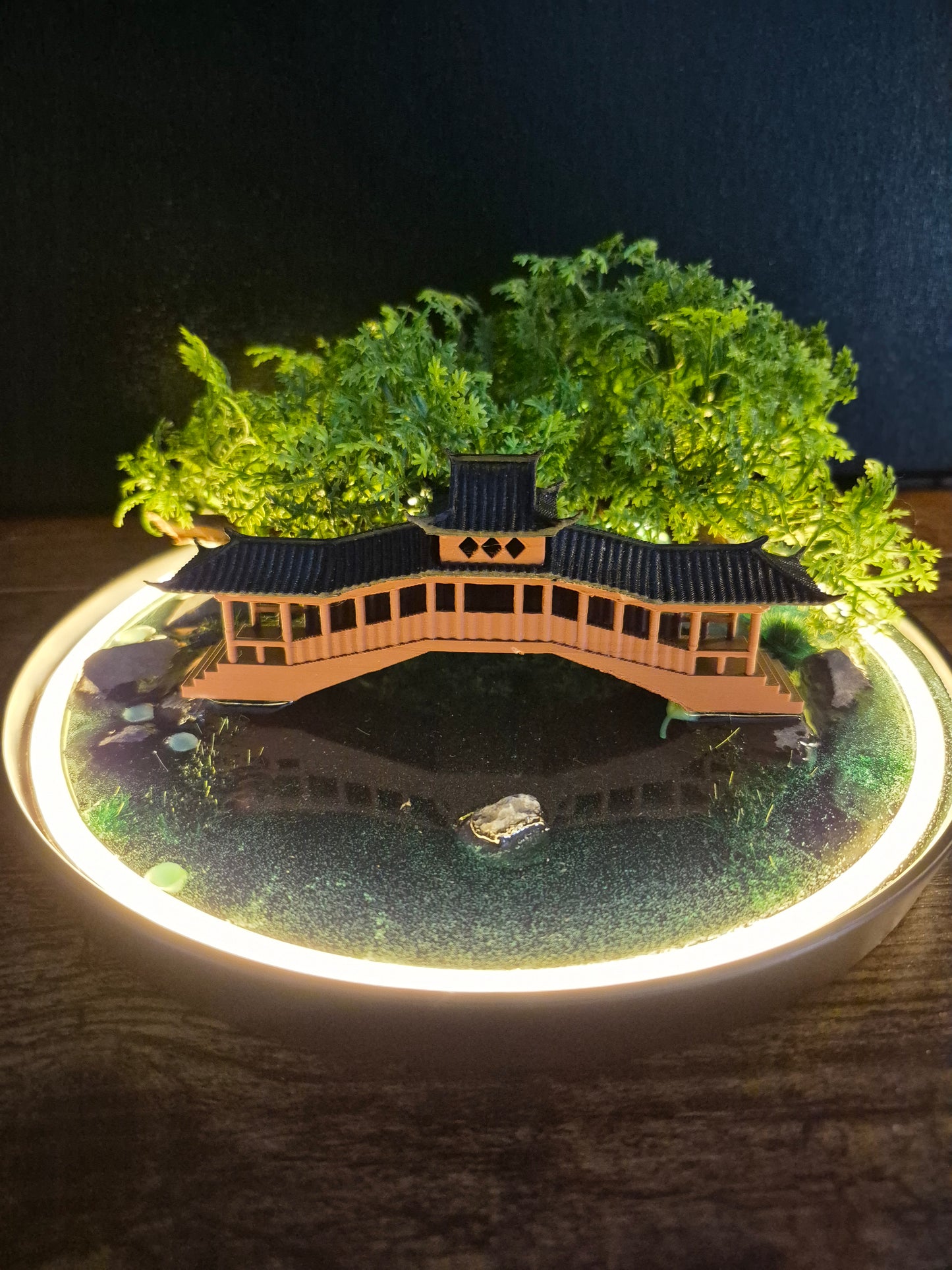 Le lac aux murmures	-	LA00048