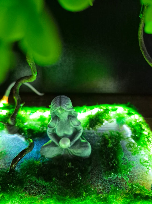 Éclat zen	-	LA00052