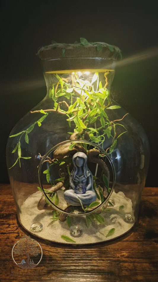 L'essence de Gaia	-	LA00031