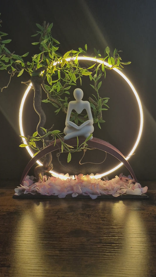 Halo de paix	-	LA00047