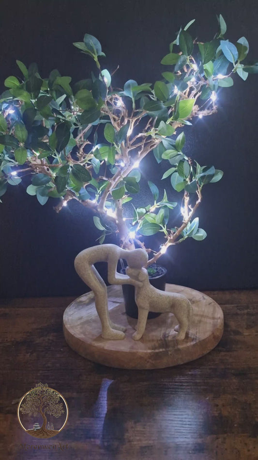 Complicité lumineuse	-	LA00024