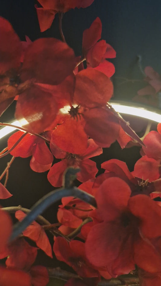 Danse sous les fleurs écarlates	-	LA00037