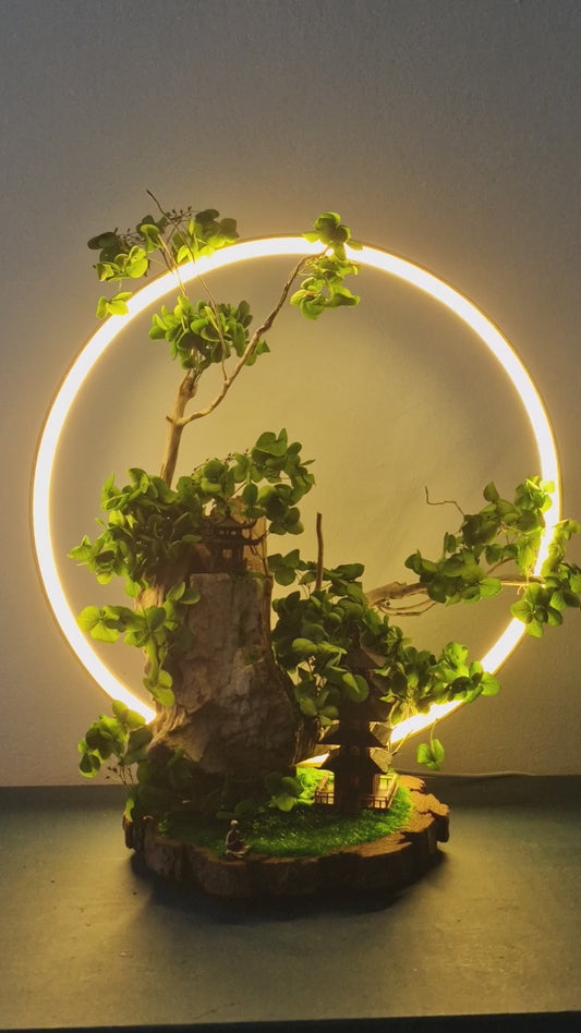 Le sanctuaire des esprits du bois	-	LA00015