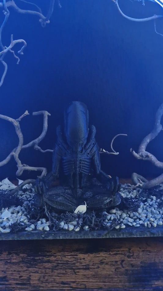 Silence du xénomorphe	-	LA00036