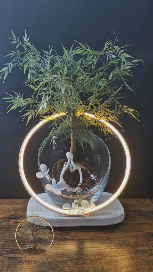 Cercle de vie	-	LA00001